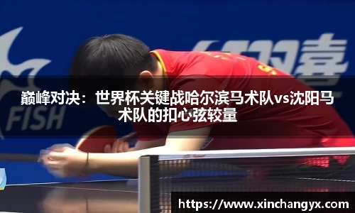 巅峰对决：世界杯关键战哈尔滨马术队vs沈阳马术队的扣心弦较量